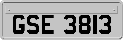 GSE3813