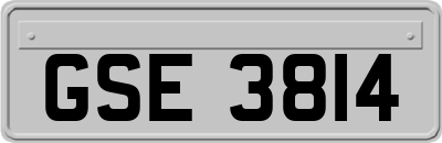 GSE3814