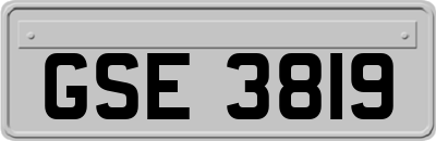 GSE3819