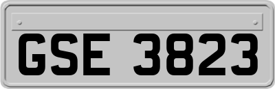 GSE3823