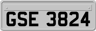 GSE3824