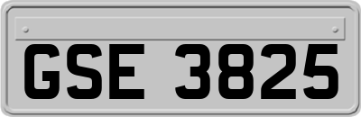 GSE3825