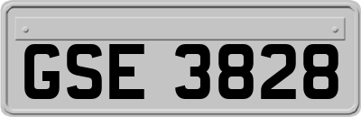 GSE3828