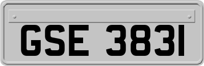 GSE3831