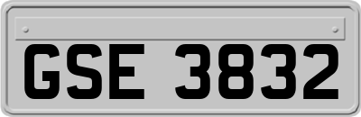 GSE3832