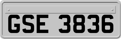 GSE3836