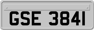 GSE3841
