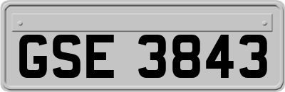 GSE3843