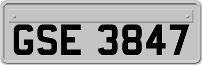 GSE3847