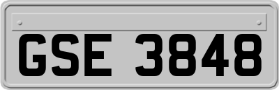 GSE3848