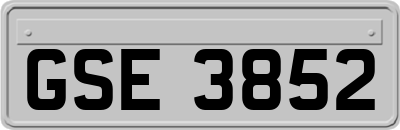 GSE3852