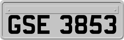 GSE3853