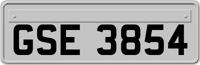 GSE3854