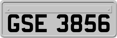 GSE3856