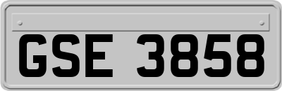 GSE3858