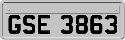 GSE3863