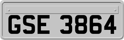 GSE3864