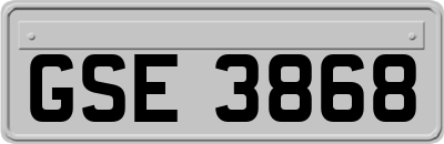 GSE3868