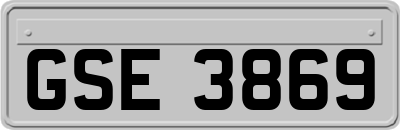 GSE3869