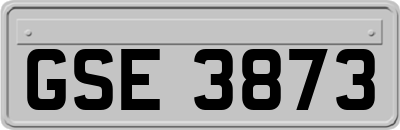 GSE3873