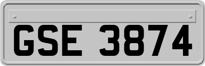 GSE3874