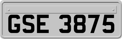 GSE3875
