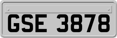 GSE3878
