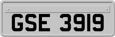 GSE3919