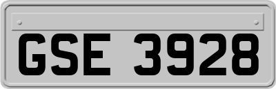 GSE3928