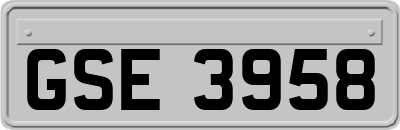GSE3958