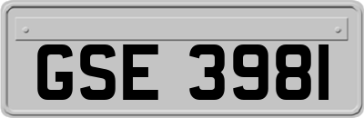 GSE3981