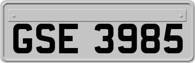 GSE3985