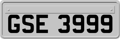 GSE3999