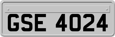 GSE4024
