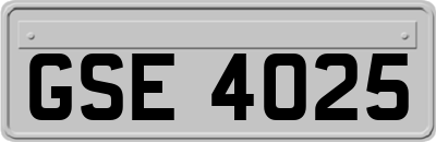 GSE4025