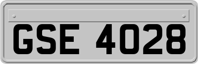 GSE4028