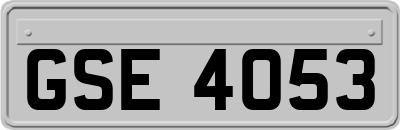 GSE4053