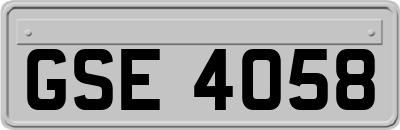 GSE4058