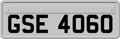 GSE4060