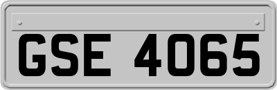 GSE4065