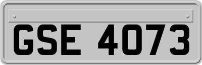 GSE4073