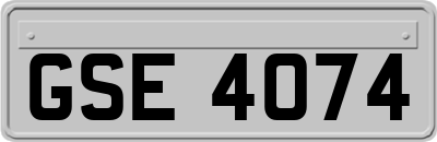 GSE4074