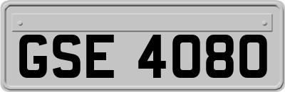 GSE4080