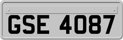 GSE4087