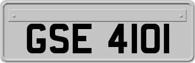 GSE4101