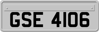 GSE4106