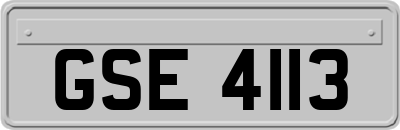 GSE4113
