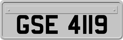 GSE4119