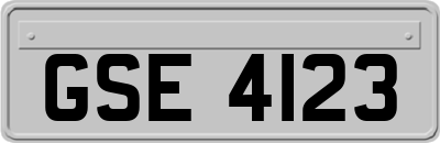 GSE4123
