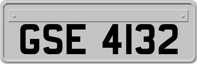 GSE4132